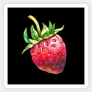 Watercolor Strawberry Magnet